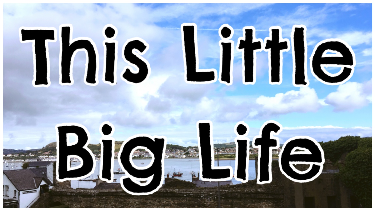 Weekend Moments with This Little Big Life