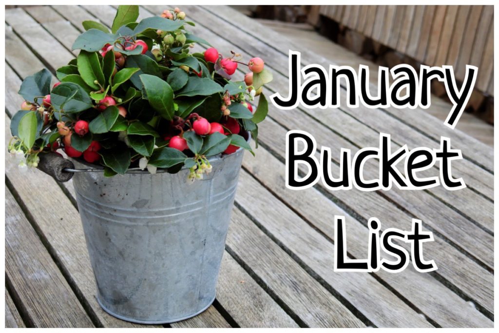 January Bucket List