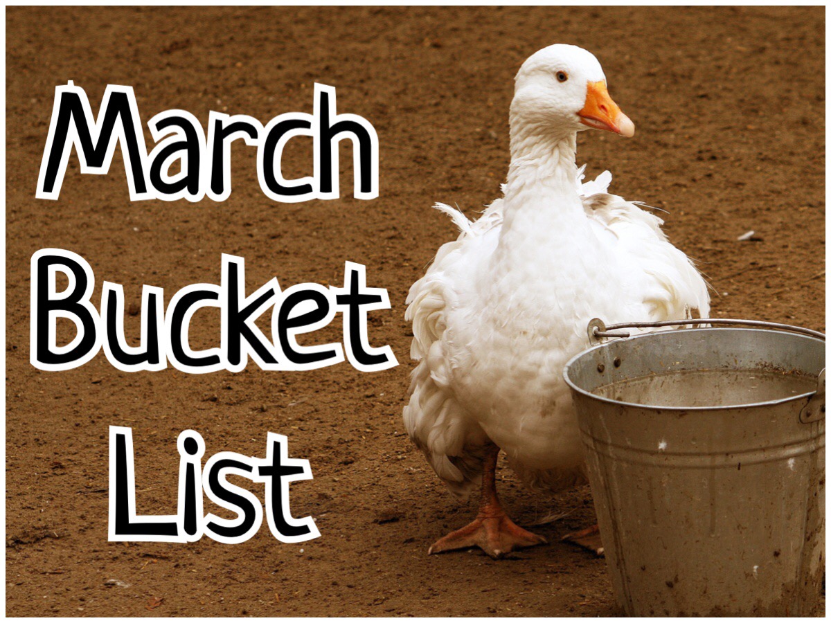 March Bucket List