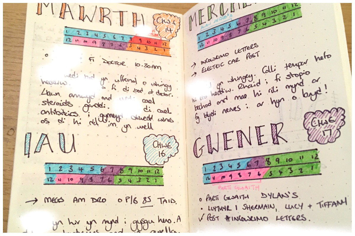February Bullet Journal