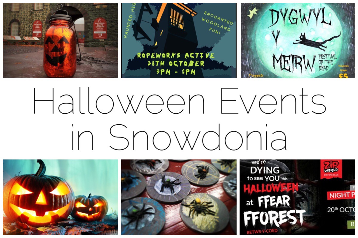 Six images of Halloween events around Snowdonia