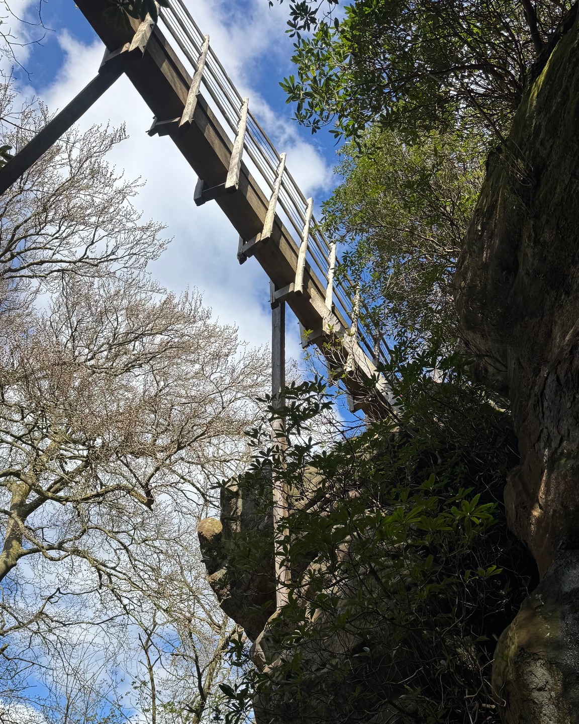 Looking up at the Swiss Bridge at Hawkstone Park Follies… such a magical place to explore.

 #hawkstoneparkfollies #hawkstonepark