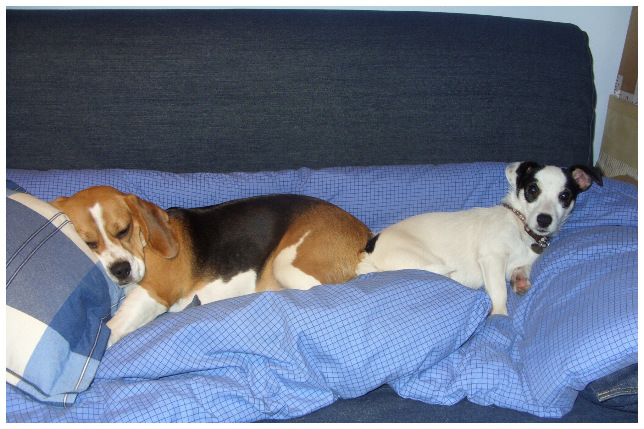 Megs and Gemma on their comfy blue bedding