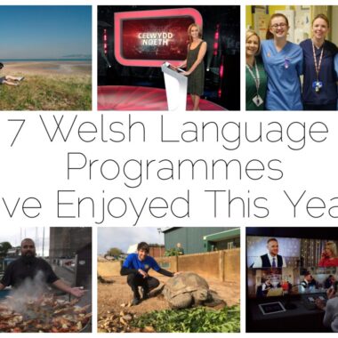 6 of the 7 Welsh language programmes I've enjoyed this year - Dianc!, Celwydd Noeth, Ward Plant, Bwyd Epic Chris, Antur Natur Cyw, Galw Nain Nain NAin