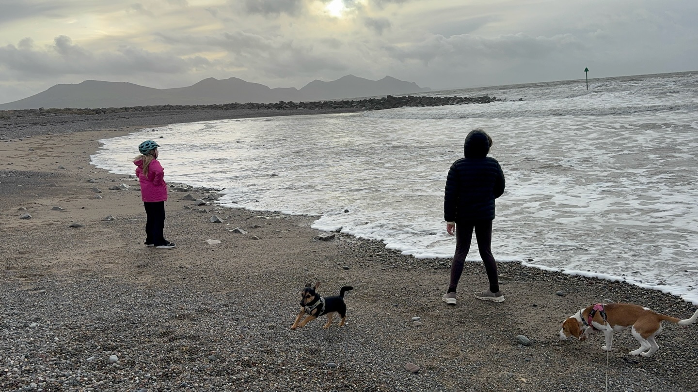 Took the pups to the beach for the first time. It was rather blowy out there but they seemed to have enjoyed it. Jinny enjoyed being off a lead. Didn’t chance it with Lilly! 

#DinasDinlle #JinnyJones #LillyLemon #Eryri360 #Snowdonia360 #YrEifl #Beaches #winterbeachwalks