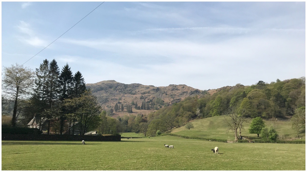 The view of the fields in the foreground and trees an mountains in the background. I believe it was taken in Grasmere